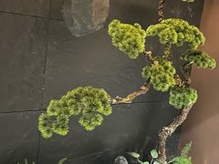 -龙湖重庆时代天街