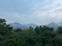 -西涌国际滨海旅游区