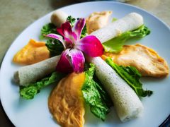 -墨脱石锅椰子鸡•香草鸭•东山羊(大东海店)