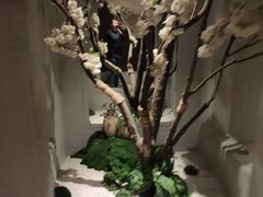 -东吴水韵(吴中店)