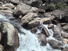 -海南热带雨林国家公园吊罗山景区