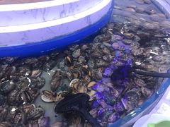 -澜悦港海鲜体验主题餐厅