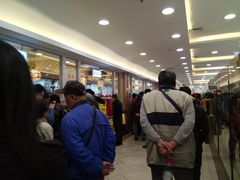 -芦庄子桂顺斋(和平路总店)