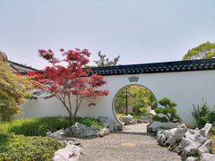 -上海滨江森林公园
