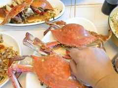 -金海湾海鲜排档(朱家尖店)