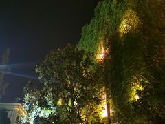 -台儿庄古城