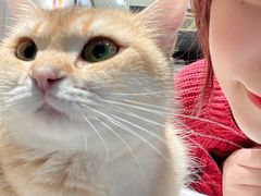 -逗柴咖啡屋·狗咖猫咖宠物桌游