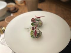 -觀芷隐轩