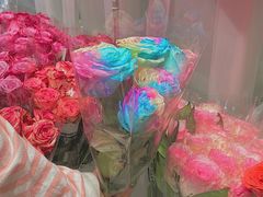 -盒马X会员店(上海森兰商都店)