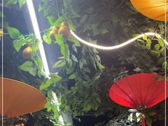 -津沽小院(天津之眼店)