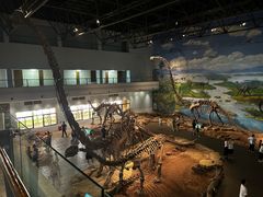 -自贡恐龙博物馆