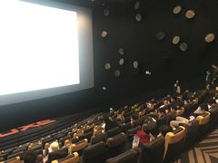 放映厅-百美汇影城(LUXE嘉里中心店)