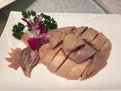 -骏莱海鲜鱼港(五角场店)