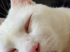 -品腐记·豆腐王朝(老门东总店)