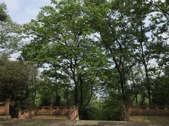 -李冰陵园