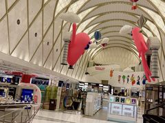 -乐天免税店(明洞店)