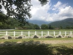 -瑞穗牧场