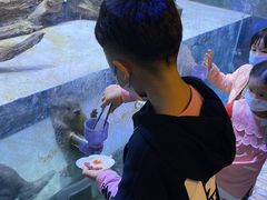 -华夏文旅海洋公园