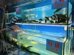 -米氏火鱼·泡椒鱼火锅(李子坝老店)