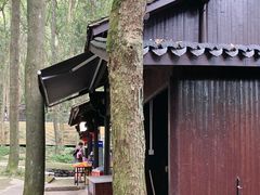 -富春桃源风景区