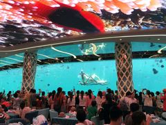 -瑞德姆美人鱼海底演艺主题餐厅(亚龙湾店)