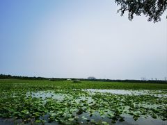 -天津东丽湖风景区
