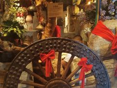 -老牌坊云南鱼豆花火锅(嵩山店)