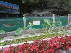 -天怡·鱼工厂(梅溪湖店)