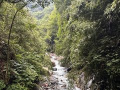 -西岭雪山大飞水景区