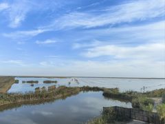 -盐城丹顶鹤湿地生态旅游区