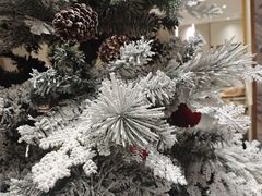 -海马体照相馆(环贸iapm大师爱情店)