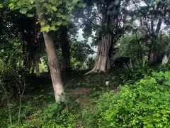 -丰都鬼城名山景区