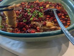 -海派美食·家宴海鲜青岛菜·石锅鲽鱼头(东方城店)