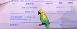 -轻辰医美