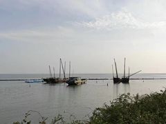 -贡湖湾湿地公园