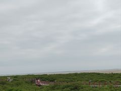 -北海金海湾红树林生态旅游区