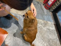 -晓马鸭店(新芜路店)
