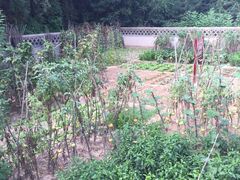 -延安杨家岭革命旧址