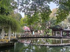 -温江公园