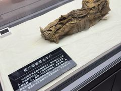 -巴音郭楞蒙古自治州博物馆