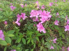 -厦门海湾公园游乐场