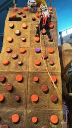 -卡通尼·Safari非洲探索乐园·生日会(金桥国际商业广场店)