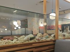 -菊上料理(蜀山银泰百货店)