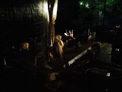 -清迈夜间动物园