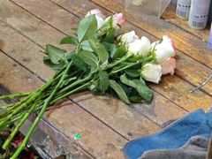 -循礼门鲜花花市(武汉循礼门店)