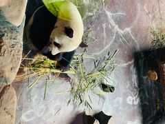 -济南野生动物世界