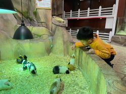 -宝燕乐园(闵行旗舰店)