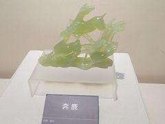 -安徽省地质博物馆