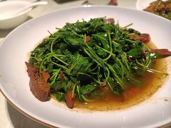 -金典银峰老鹅馆·昆山菜(亭林公园店)