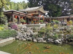 -荔湾湖公园